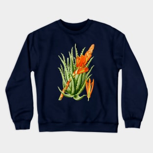 Aloe Vera vintage illustration Crewneck Sweatshirt